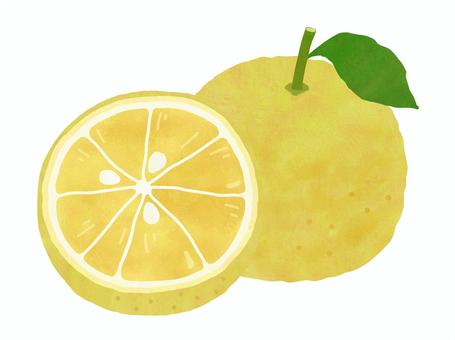 ゆず ゆず,食べ物,冬,冬至,柚子,黄色,柑橘,水彩,手描きのイラスト素材