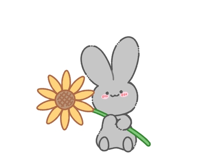ひまわりを持つ灰色うさぎ うさぎ,灰色,グレー,持つ,ひまわり,花,植物,夏,動物,小動物のイラスト素材