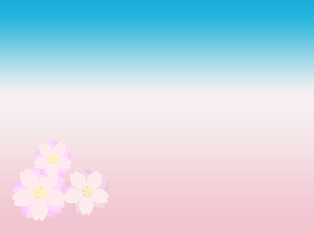 Cherry blossoms bloom, cherry blossoms, wallpaper, sky, JPG, PNG and AI