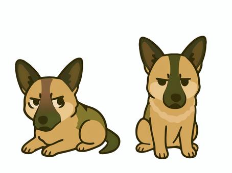 Illustration, dog, tiny, shepard, 