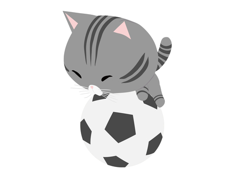 サッカーボールとさばとら猫 サッカー,ボール,猫,さばとら,動物,かわいい,スポーツのイラスト素材