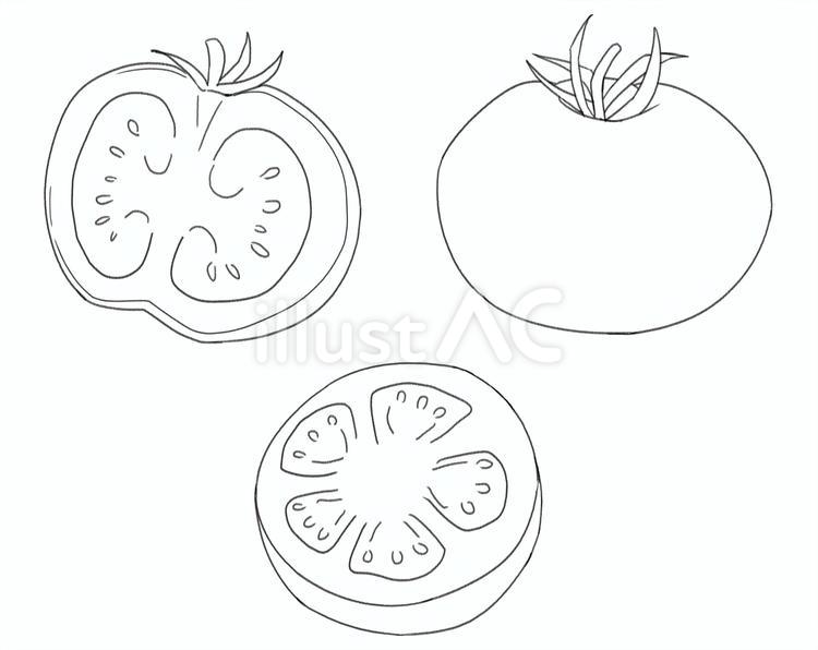 トマトの線画 食べ物,トマト,野菜のイラスト素材