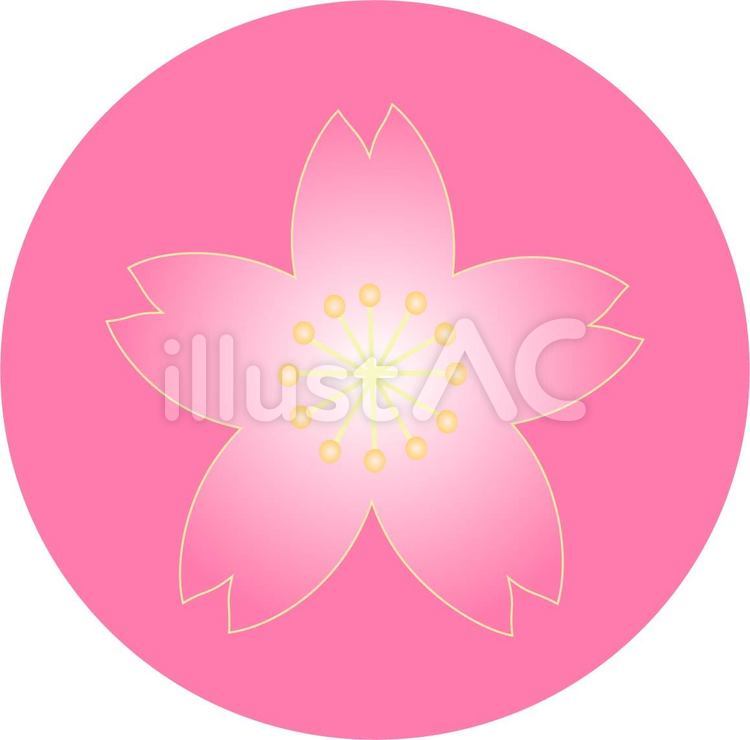 桜　アイコン　春 桜,アイコン,円のイラスト素材