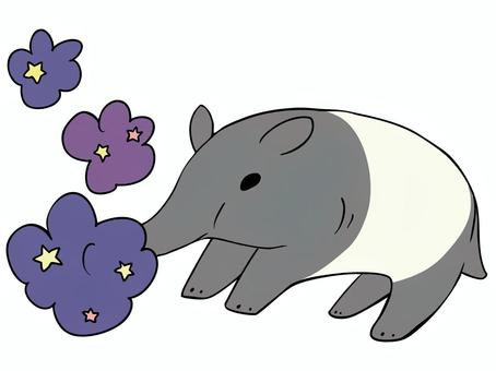 夢 バク食い バク,夢,食べる,星,主線あり,ダジャレ,イメージ,動物,ゆるかわ,かわいいのイラスト素材