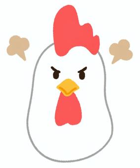 ぷんぷん怒っているにわとりの顔 鶏,怒る,にわとり,鳥,顔,怒り,チキン,酉,雄鶏,酉年のイラスト素材
