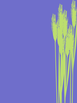 青々した緑の麦穂シルエット　２色 麦穂,青々,リアル,緑,シルエット,ツートーン,ナチュラル,お洒落,自然,植物のイラスト素材