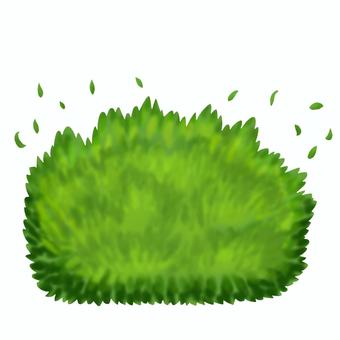 ざわざわ何かが潜む又は飛び出す茂み 茂み,草むら,藪,低木,ブッシュ,潜む,出現,ガサガサ,灌木,草のイラスト素材
