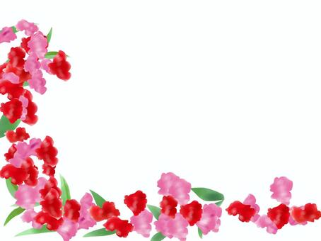 鳳仙花イラスト 無料イラストなら イラストac