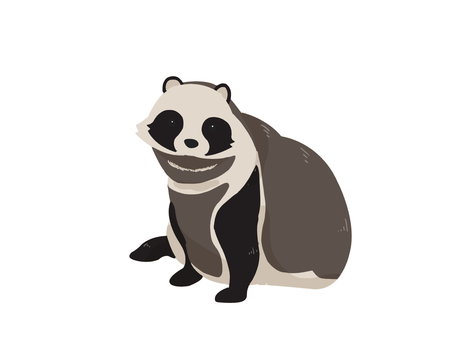 タヌキ（座る・主線なし） タヌキ,動物,日本,夜行性,座る,主線なしのイラスト素材