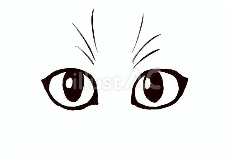 猫の目 猫,瞳,目のイラスト素材