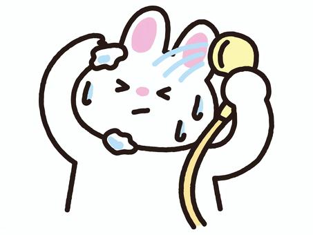 シャワーで泡を流すうさぎ 洗う,シャワー,洗髪,ヘアケア,泡,シャンプー,風呂,銭湯,温泉,入浴のイラスト素材