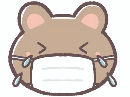 風邪か花粉症でマスクをして泣く動物の熊 風邪か花粉症でマスクをして泣く動物の熊 マスク,花粉症,風邪,病気,病院,内科,小児科,耳鼻科,薬局,予防のイラスト素材