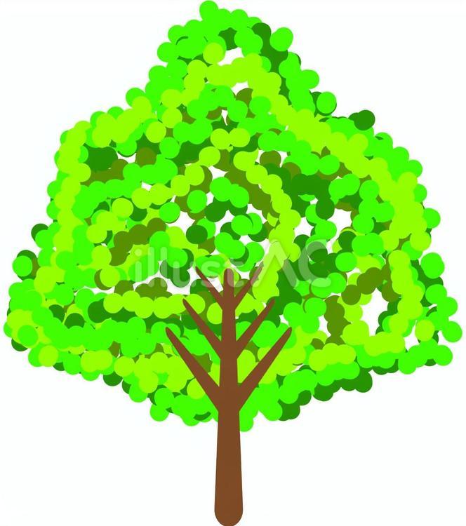 木　 木,広葉樹,植栽のイラスト素材