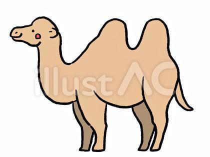 フタコブラクダのイラスト