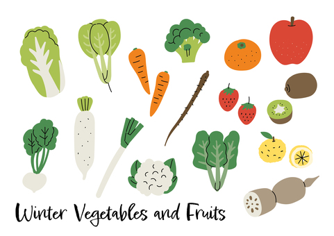 冬の野菜と果物の手描き風素材 冬,野菜,果物,白菜,小松菜,大根,かぶ,人参,ブロッコリー,ごぼうのイラスト素材