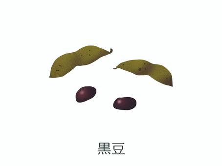 黒豆（野菜名入り） 黒豆,枝豆,北海道,群馬県,皮,黒,甘味,和食,お正月,おせちのイラスト素材