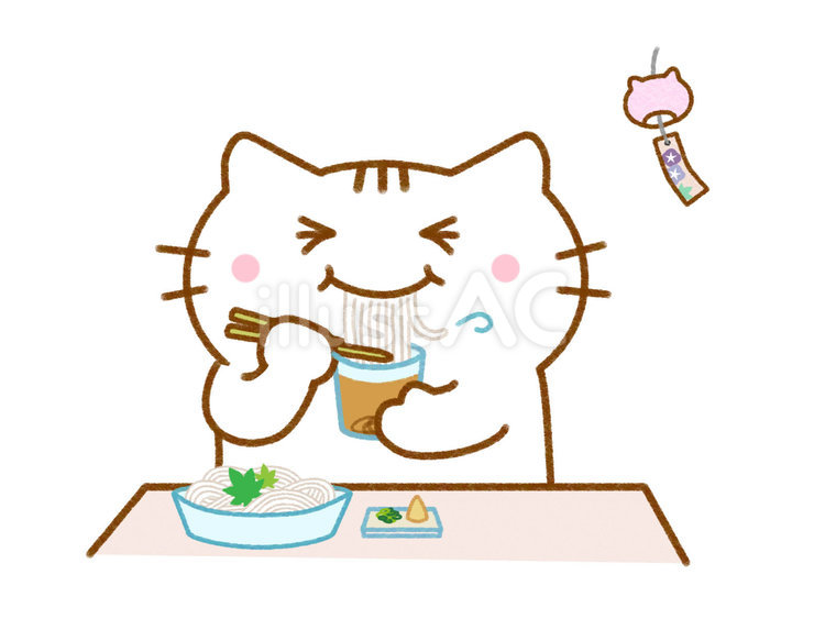 素麺を食べる　白猫 猫,ねこ,白猫のイラスト素材