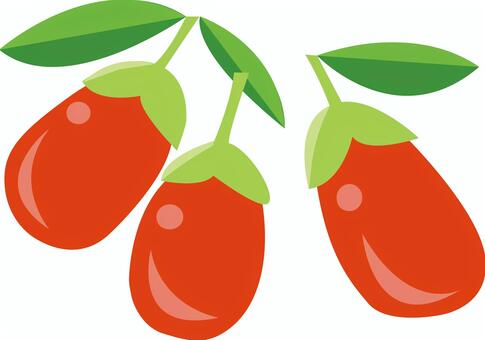 クコの実 クコ,クコの実,冬の植物,果物,枸杞のイラスト素材