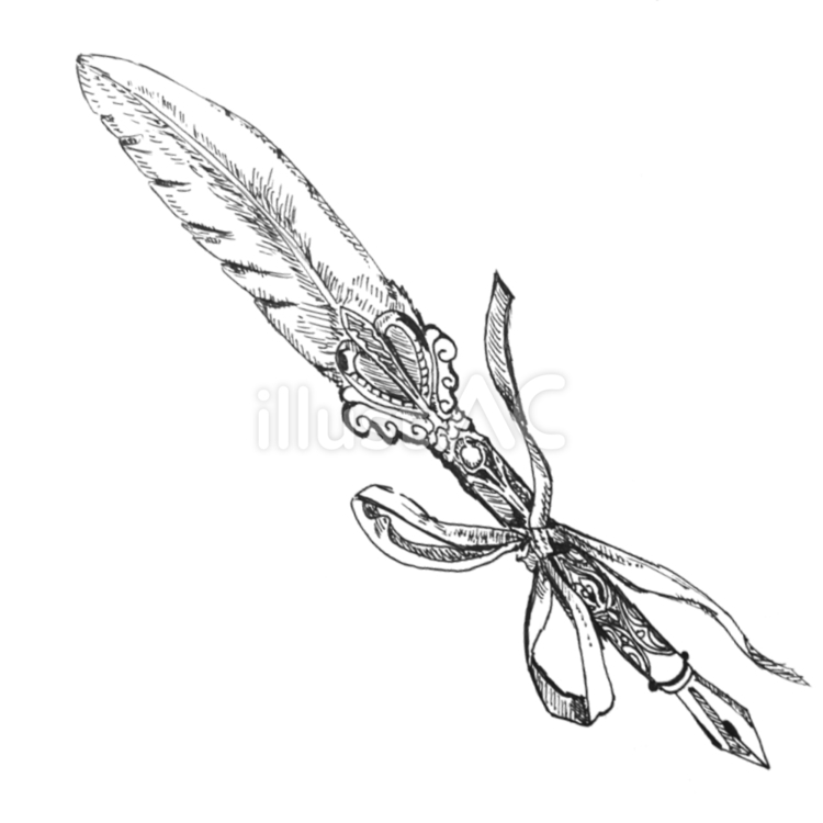 羽ペン　漆黒 羽ペン,羽毛,文房具のイラスト素材