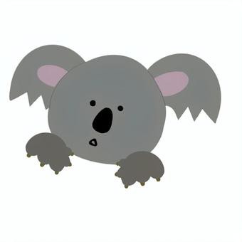 コアラの顔　手描き コアラ,動物,顔,動物園,かわいい,アイコン,マーク,スタンプ,子供向け,保育園のイラスト素材