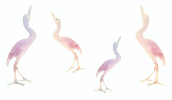鳥 鳥 鳥,鶴,鷺のイラスト素材
