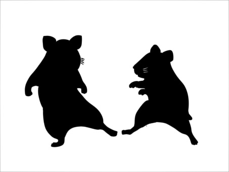 A beautifully dancing hamster, dance, comical, happy, JPG and PNG