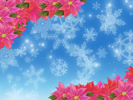 poinsettia frame, JPG and PNG poinsettia frame, , JPG and PNG