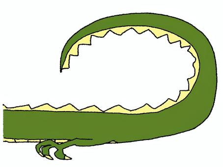 ワニ ワニ,しっぽ,可愛い,生き物,お知らせ用,宣伝用,pop調,手描き,挿絵,ワンポイントのイラスト素材
