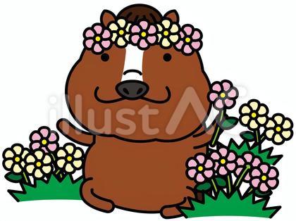 ウマさん 花畑