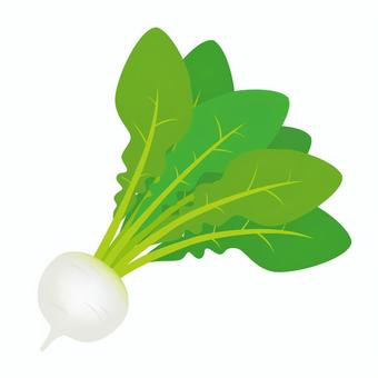 カブのアイコン カブのアイコン カブ,根菜,秋,野菜,食べ物,農業,食材,農作物,植物,アイコンのイラスト素材