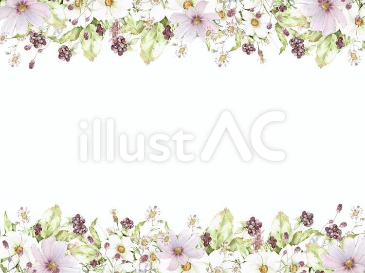 花枠４４８　秋のコスモスと野の花と実 花,水彩画,手描き水彩のイラスト素材