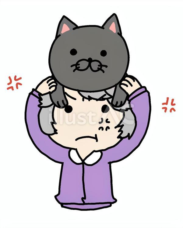 猫をかぶる怒るおばあさん おばあさん,猫,被るのイラスト素材