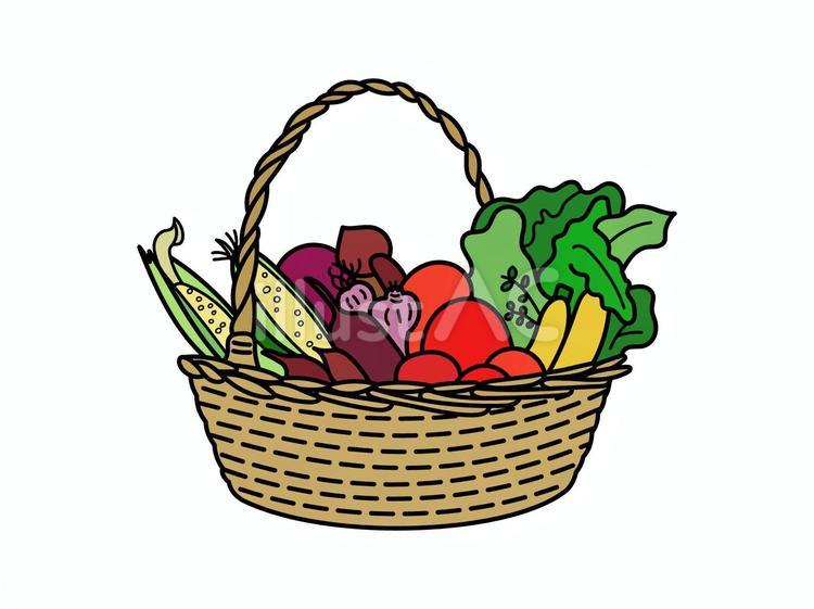カゴにいっぱいの野菜 カゴ,バスケット,野菜のイラスト素材