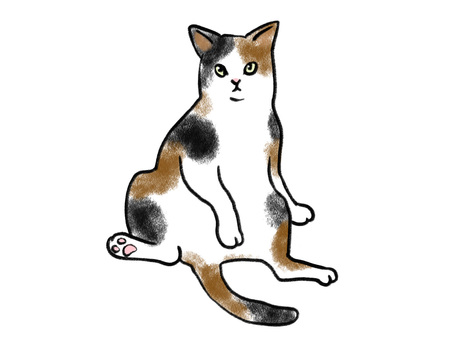 Illustration, cat, a pet, animal, 