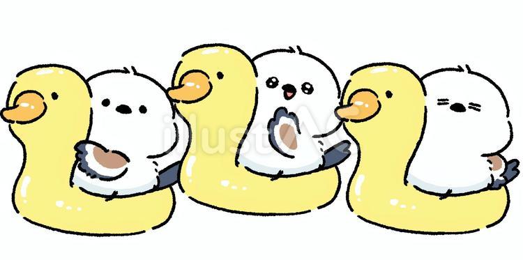シマエナガ_アヒルの浮き輪_04 シマエナガ,鳥,動物のイラスト素材