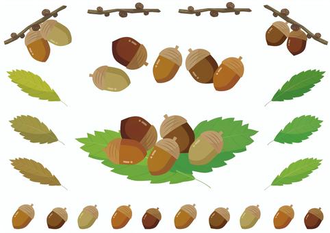 秋のどんぐりと葉っぱのイラストセット どんぐり,葉っぱ,木の実,秋,森,ナチュラル,枝,シンプル,自然,9月のイラスト素材