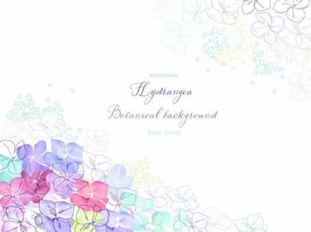 線條畫和水彩繡球花背景, JPG, PNG 和 AI 線條畫和水彩繡球花背景, , JPG, PNG 和 AI