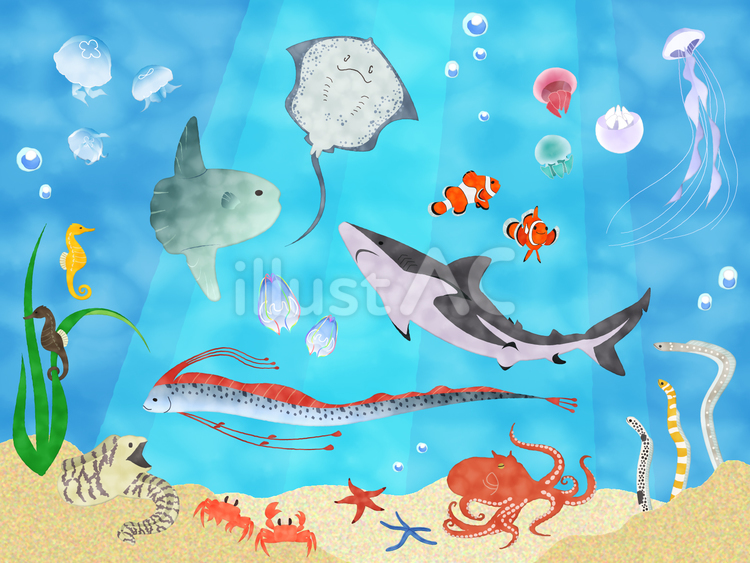 海の生き物イラスト集 海の生き物,水族館,かわいいのイラスト素材