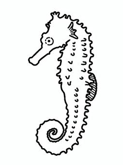 タツノオトシゴ タツノオトシゴ タツノオトシゴ,水族館,海水魚,アクアリウム,観賞,生き物,塗り絵のイラスト素材