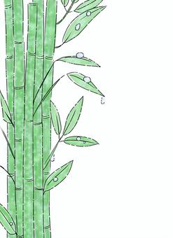 雨に濡れた竹 雨,濡れる,竹,植物,自然,雫,バンブー,緑,雨粒,水のイラスト素材