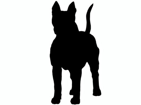 タイ・リッジバック・ドッグ シルエット タイ・リッジバック・ドッグ シルエット タイ・リッジバック・ドッグ,中型犬,タイ,犬,シルエット,影絵,影,黒,デザイン,シンプルのイラスト素材
