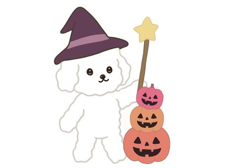 白プードル魔女とかぼちゃ 犬,いぬ,プードル,トイプードル,白プードル,魔女帽子,魔法の杖,かぼちゃ,ジャックオーランタン,ハロウィンのイラスト素材