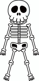 骨格標本デフォルメ ドクロ,骨格,頭,顔,体,標本,ホラー,人体,デフォルメ,キャラのイラスト素材