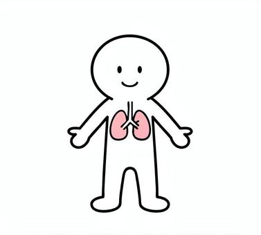 体の説明イラスト　肺　棒人間 肺,体,笑顔,棒人間,線画,キャラクター,手描き,手書き,イラスト,挿し絵のイラスト素材