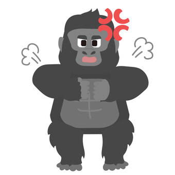 ドラミングするゴリラ 怒り,怒る,感情,ドラミング,叩く,ポーズ,しぐさ,ゴリラ,親子,生き物のイラスト素材