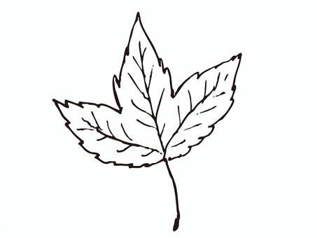 葉っぱの手描き線画イラスト02 自然,手描き,葉,葉っぱ,デザイン,おしゃれ,かわいい,やさしい,ナチュラル,シンプルのイラスト素材