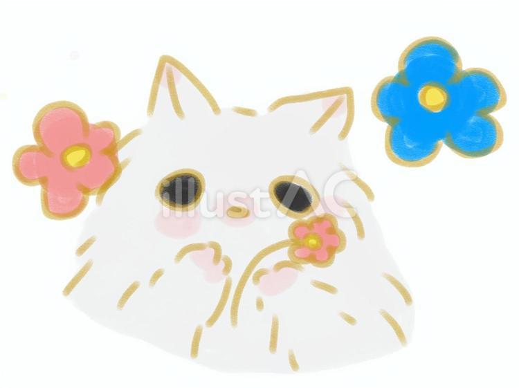 もふもふの白猫 白猫,もふもふ,かわいいのイラスト素材