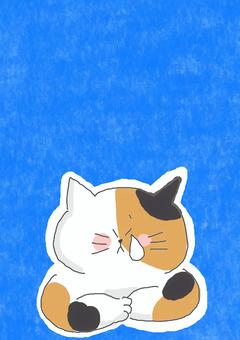 泣いている三毛猫ちゃん 泣いている三毛猫ちゃん かわいい,泣く,涙,悲しい,寂しい,悩み,不安,怖い,恐怖,がっかりのイラスト素材