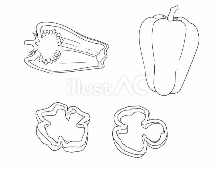 ピーマンの線画 食べ物,ピーマン,野菜のイラスト素材