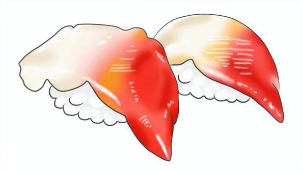 寿司ネタのイラスト　ホッキ貝 ホッキ貝,寿司,握り,食べ物,料理,献立,メニュー,和食,海産物,挿絵のイラスト素材